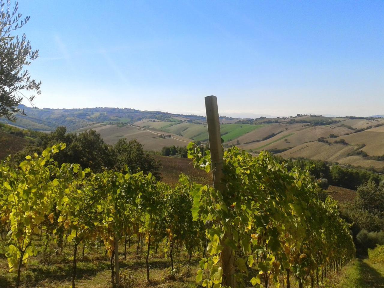 Agriturismo Le Vigne Fermo Extérieur photo